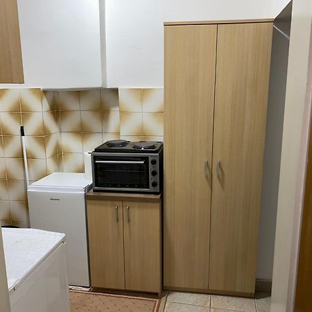 Center Studio Apartment Podgoriţa Exterior foto