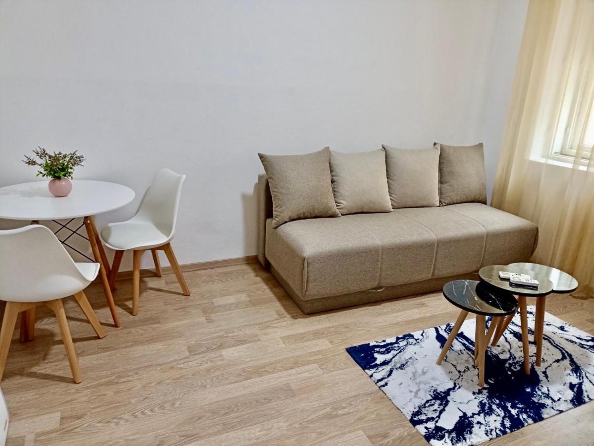 Center Studio Apartment Podgoriţa Exterior foto
